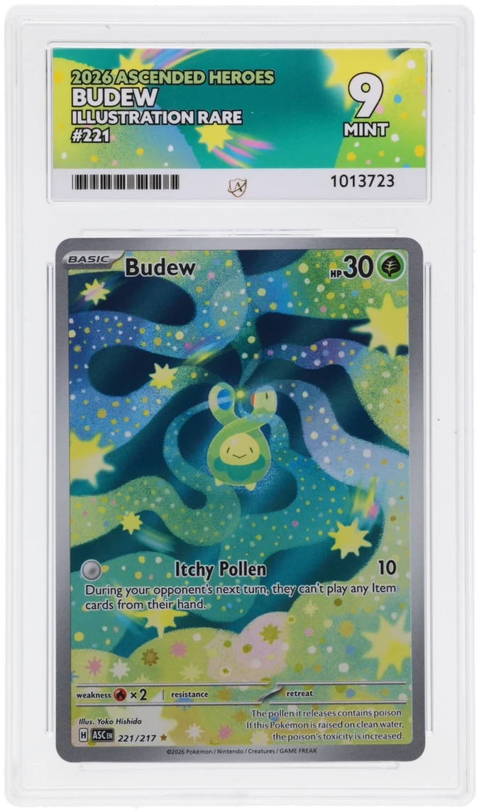 Budew - ACE 9   (Front)