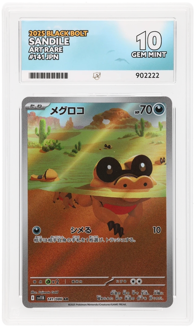 Sandile - ACE 10   (Front)