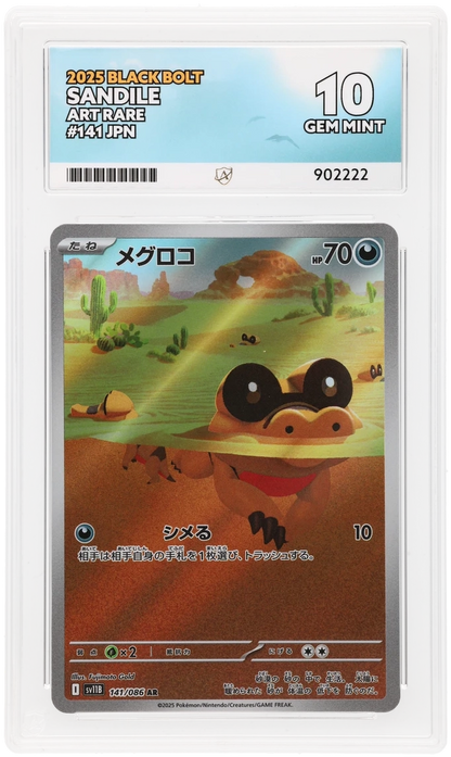Sandile - ACE 10   (Front)