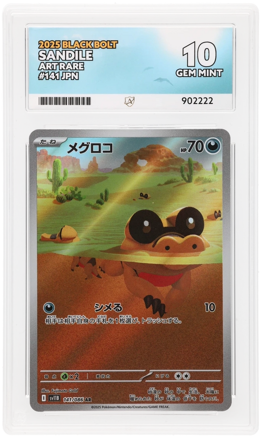 Sandile - ACE 10   (Front)