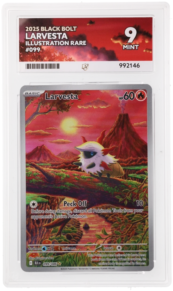 Larvesta - ACE 9   (Front)