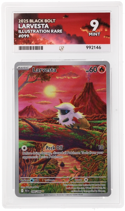 Larvesta - ACE 9   (Front)